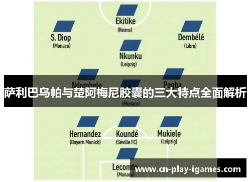 萨利巴乌帕与楚阿梅尼胶囊的三大特点全面解析