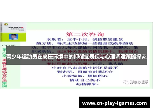 青少年运动员在高压环境中的抑郁症表现与心理调适策略探究