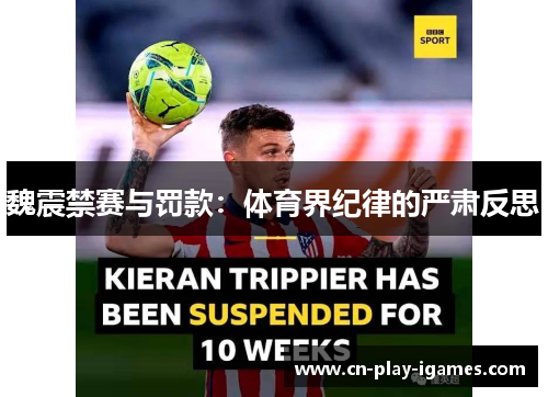 魏震禁赛与罚款：体育界纪律的严肃反思